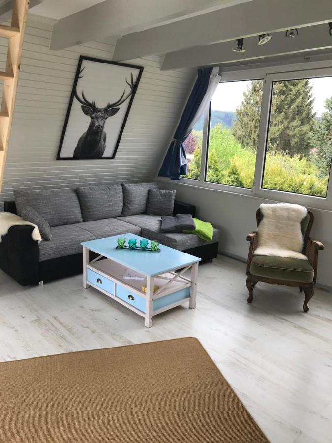 Willa Ferienhaus Schadertalblick Wolfshagen  Zewnętrze zdjęcie
